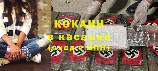 стаф Аркадак