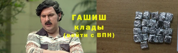 стаф Аркадак