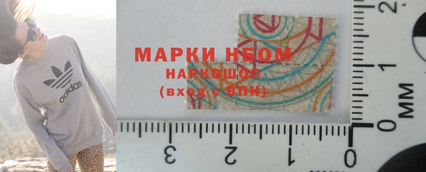 стаф Аркадак