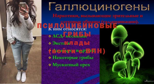 гидра Алексеевка