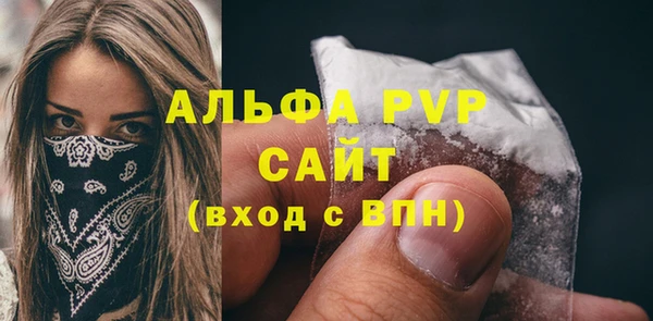 стаф Аркадак