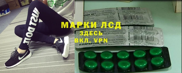 стаф Аркадак