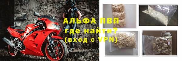 стаф Аркадак