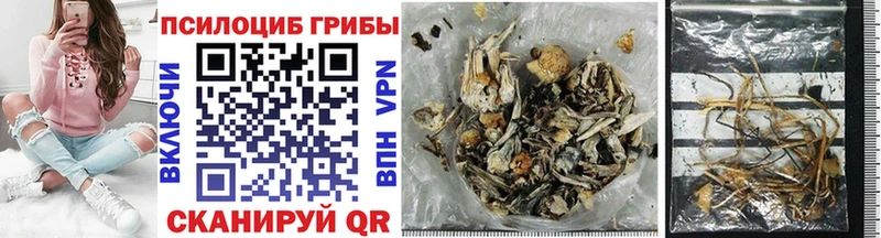 закладка  Кукмор  Галлюциногенные грибы MAGIC MUSHROOMS 